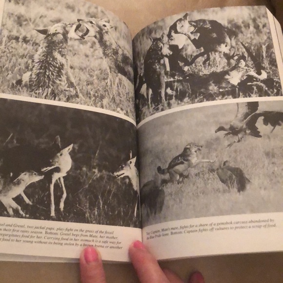 CRY OF THE KALAHARI & THE EYE OF THE ELEPHANT • BUNDLE 2 SOFTCOVER BOOKS - Picture 11 of 17